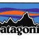 Patagonia Shuts Down Coronavirus