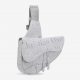 Daniel Arsham x Dior Newspaper Saddle Bag