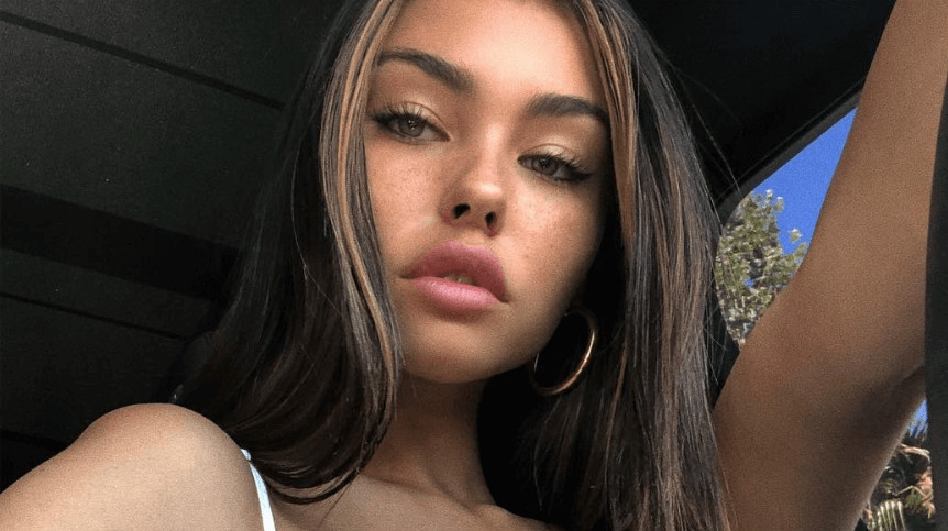 Madison Beer Facts