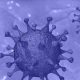 What to Expect Second Coronavirus Wave