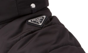 Prada Dog Jacket