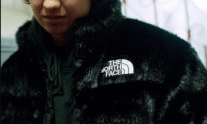 Supreme The North Face Fur Collection