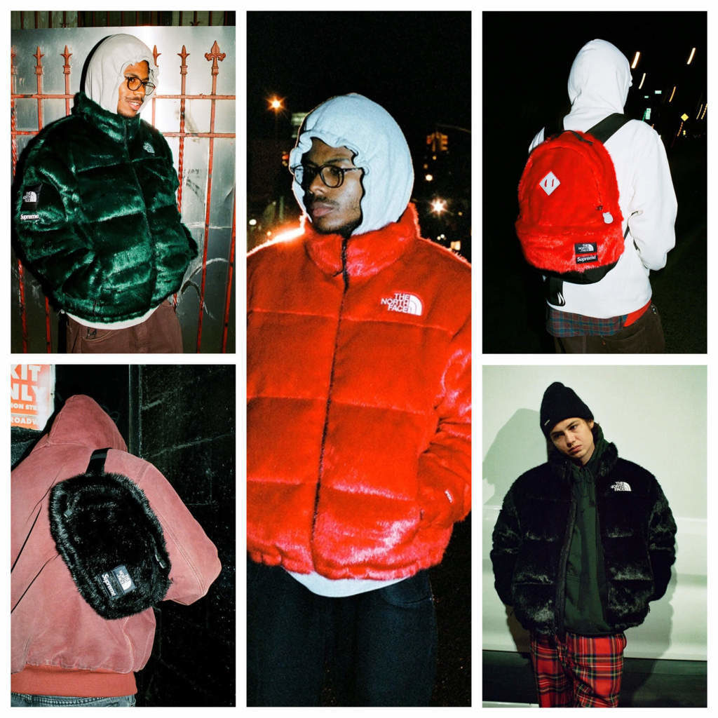 Supreme x The North Face Faux Fur Collection