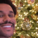 The Weeknd Decorates Christmas Tree