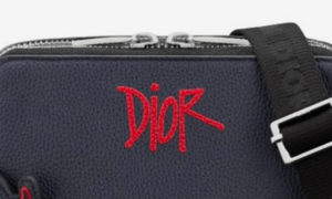 Dior Stussy Collection