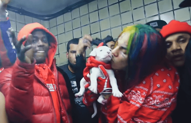 Dog From Tekashi 6ix9ine's “Kooda” Video Has Passed Away – aGOODoutfit