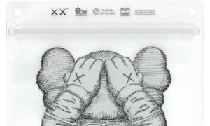 KAWS Pake zip bag