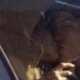 Zendaya Tom Holland kiss