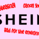 Shein controversies