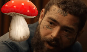 Post Malone Mushrooms