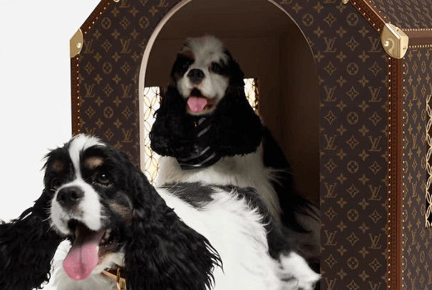 Pharrell Williams Transforms Classic Louis Vuitton Trunk into a Doghouse