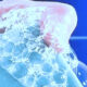 Bathwater Bliss Men's Soap